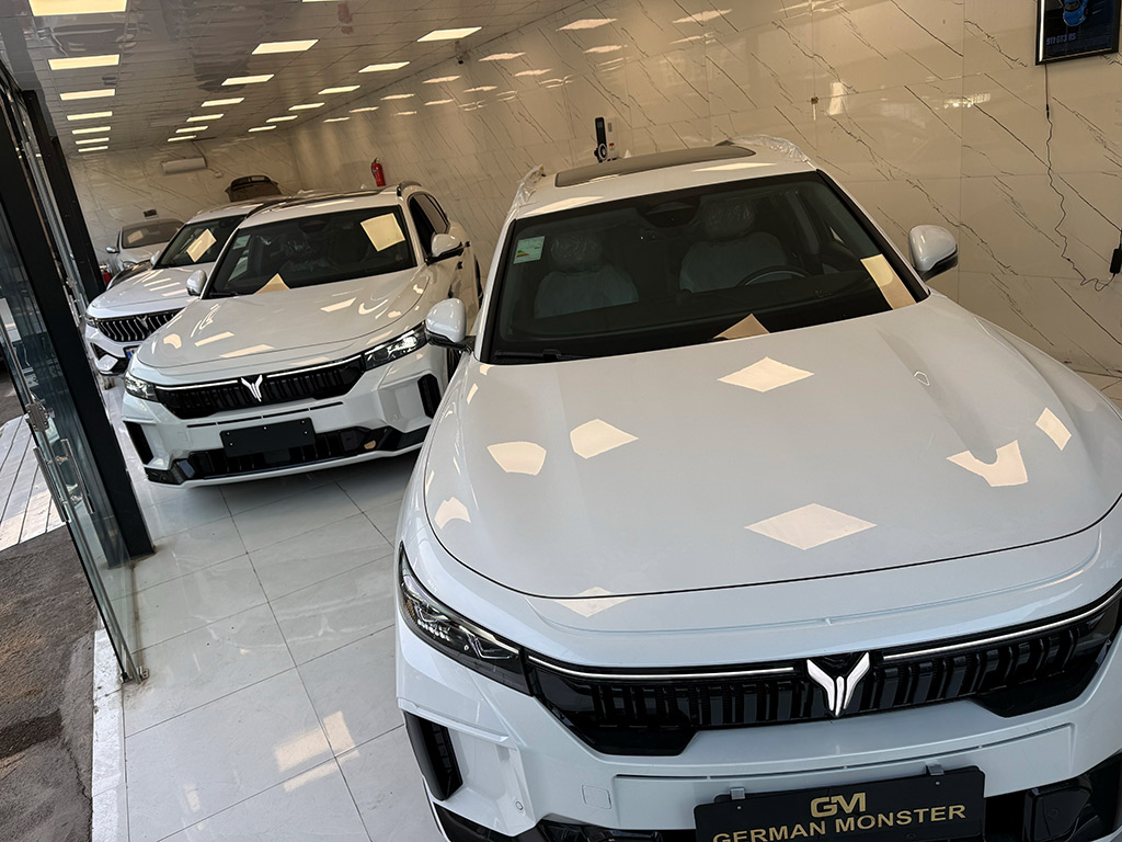 بررسی وویا فری 2025